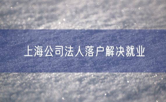 上海公司法人落户解决就业