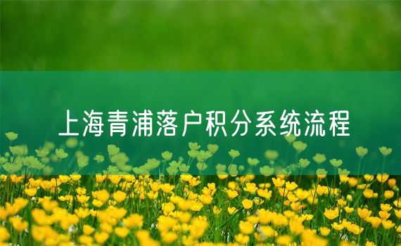 上海青浦落户积分系统流程