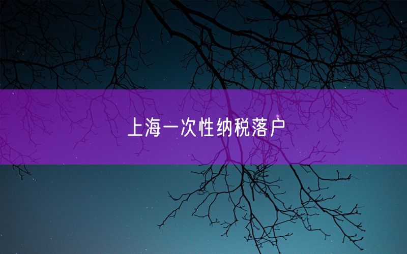 上海一次性纳税落户