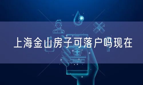 上海金山房子可落户吗现在