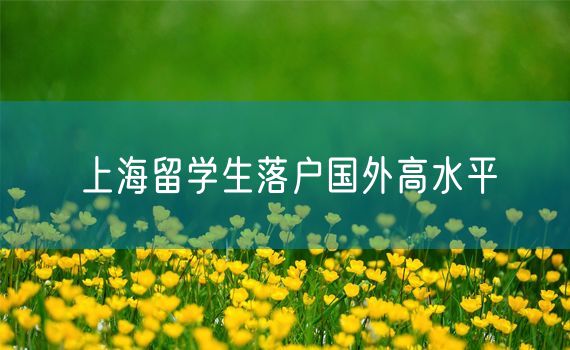 上海留学生落户国外高水平
