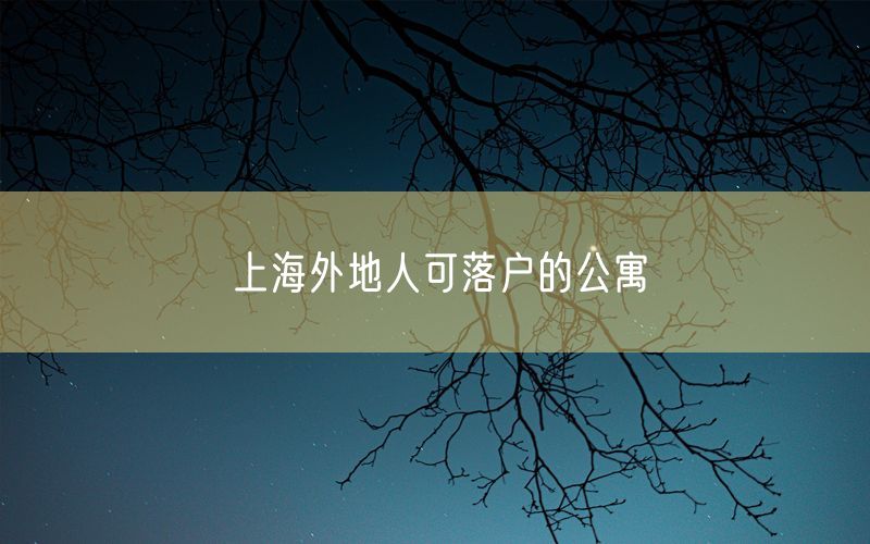 上海外地人可落户的公寓