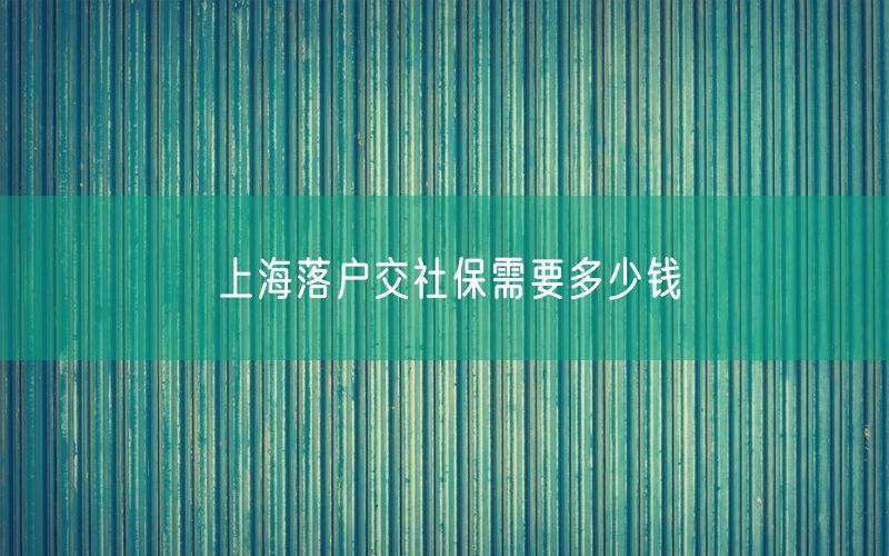 上海落户交社保需要多少钱