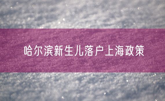 哈尔滨新生儿落户上海政策