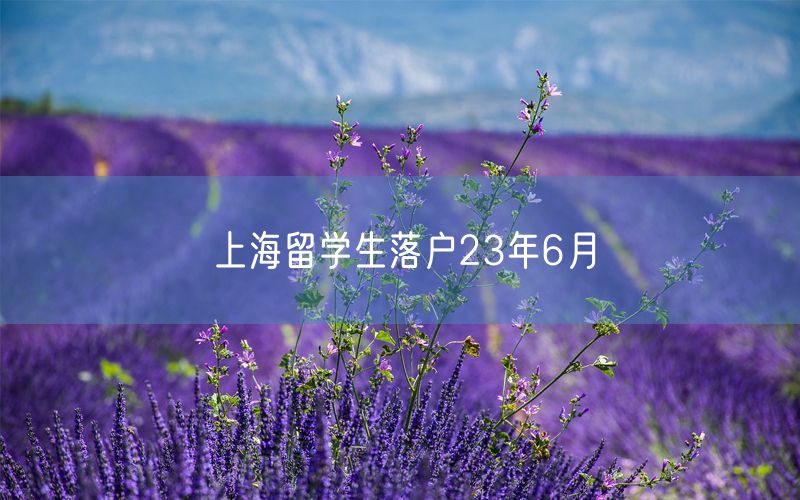 上海留学生落户23年6月