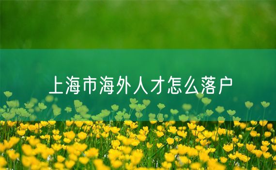 上海市海外人才怎么落户