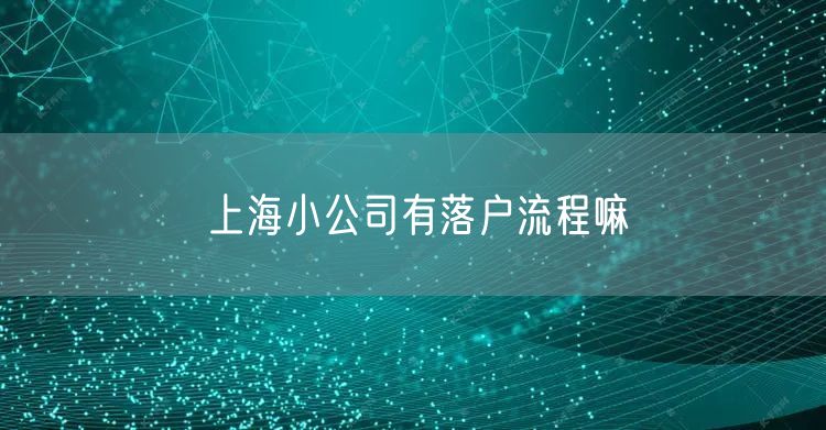 上海小公司有落户流程嘛