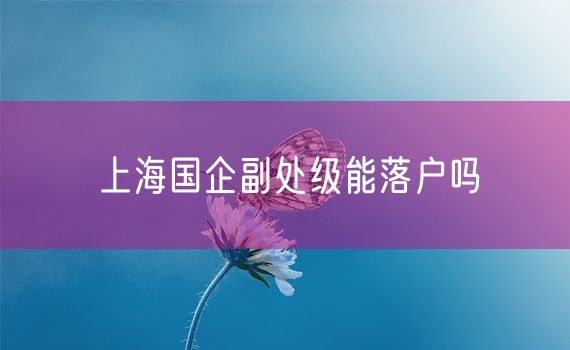 上海国企副处级能落户吗