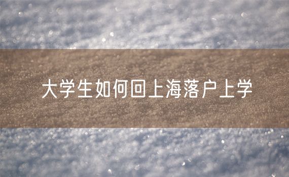 大学生如何回上海落户上学