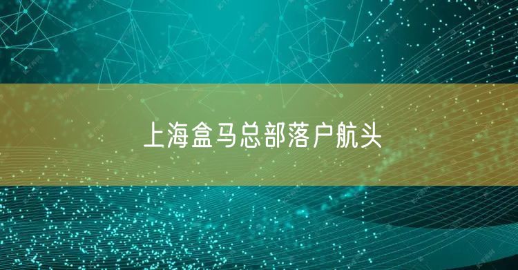 上海盒马总部落户航头