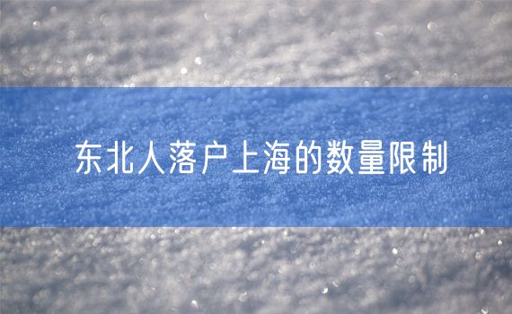 东北人落户上海的数量限制