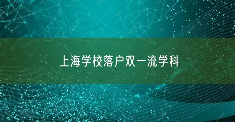 上海学校落户双一流学科