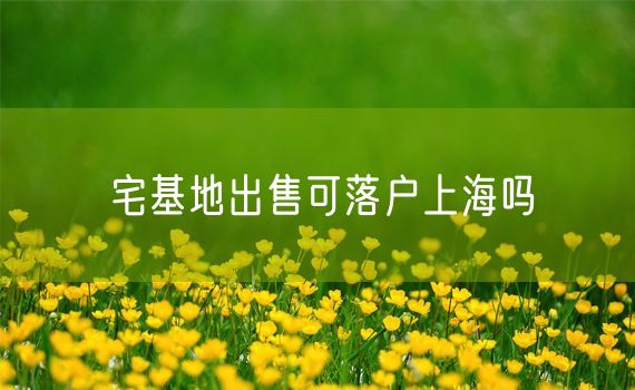 宅基地出售可落户上海吗