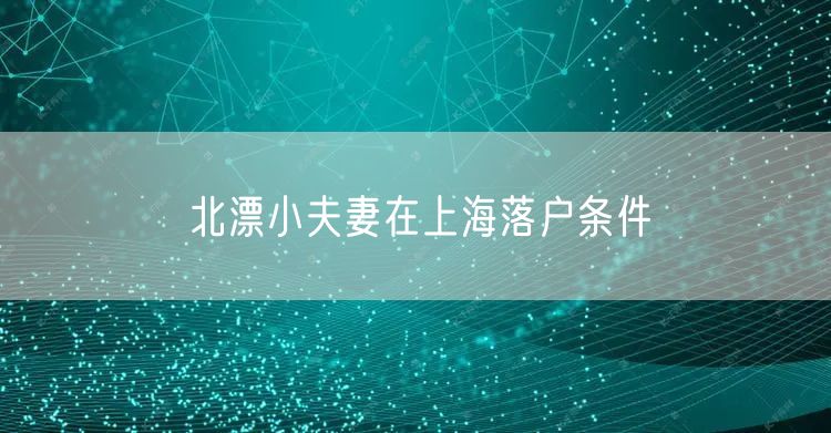 北漂小夫妻在上海落户条件