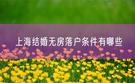 上海结婚无房落户条件有哪些
