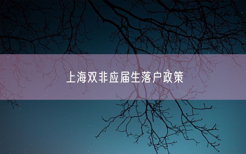 上海双非应届生落户政策