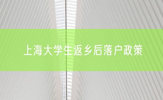 上海大学生返乡后落户政策