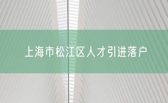 上海市松江区人才引进落户