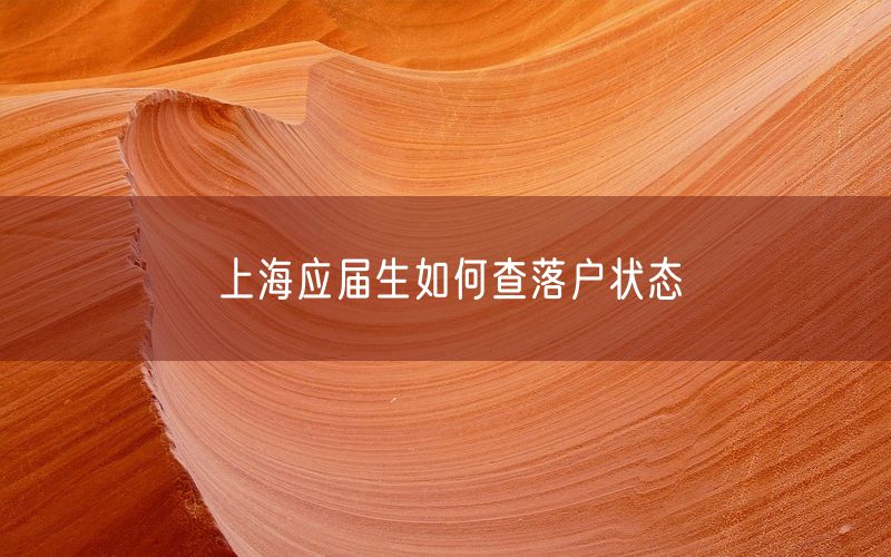上海应届生如何查落户状态