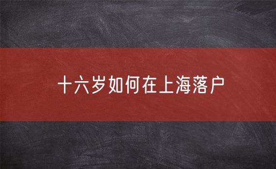 十六岁如何在上海落户
