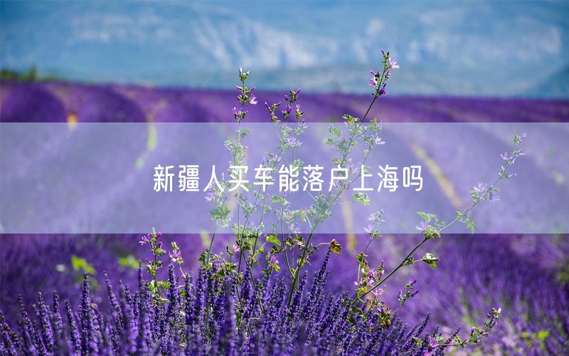 新疆人买车能落户上海吗