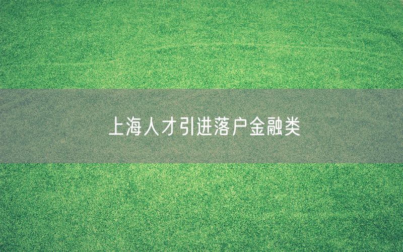 上海人才引进落户金融类