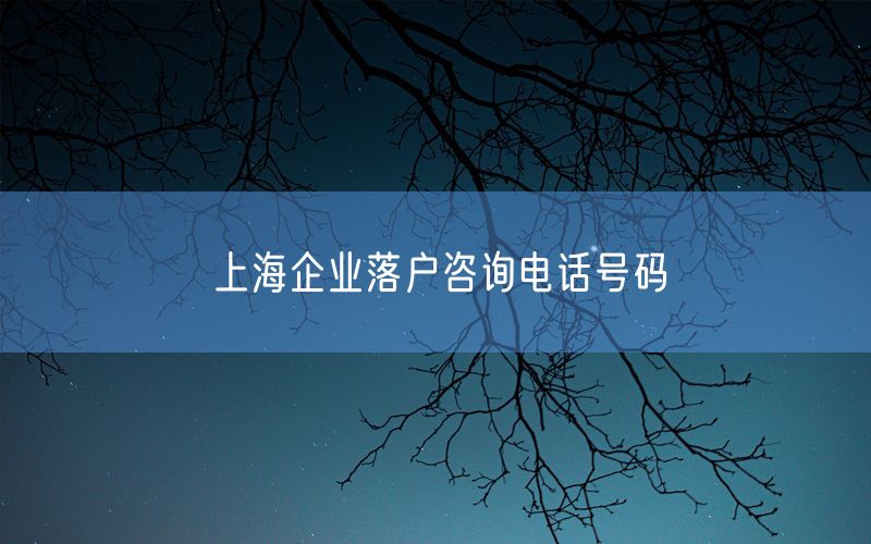 上海企业落户咨询电话号码