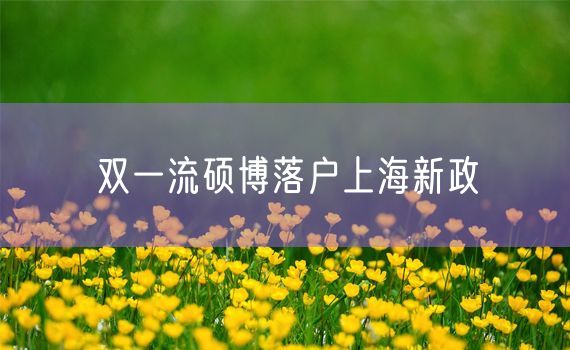 双一流硕博落户上海新政