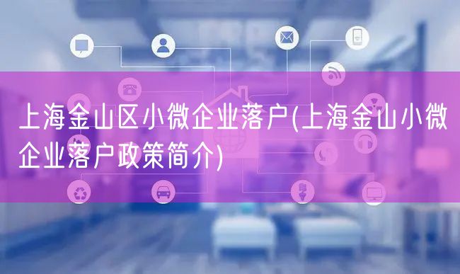 上海金山区小微企业落户(上海金山小微企业落户政策简介)