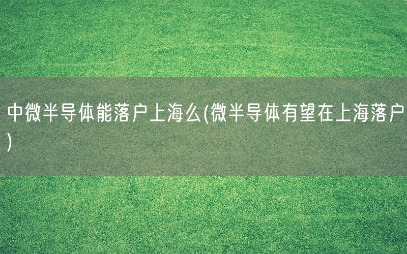 中微半导体能落户上海么(微半导体有望在上海落户)