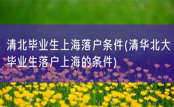 清北毕业生上海落户条件(清华北大毕业生落户上海的条件)