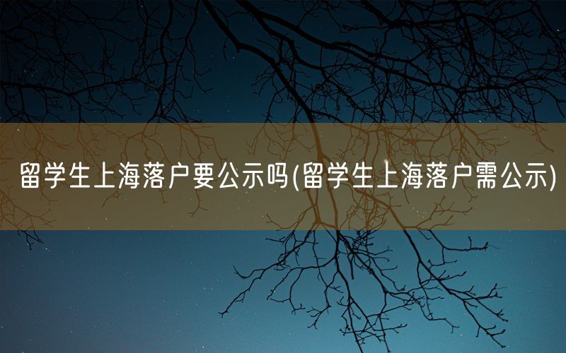 留学生上海落户要公示吗(留学生上海落户需公示)