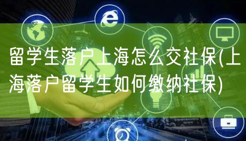 留学生落户上海怎么交社保(上海落户留学生如何缴纳社保)