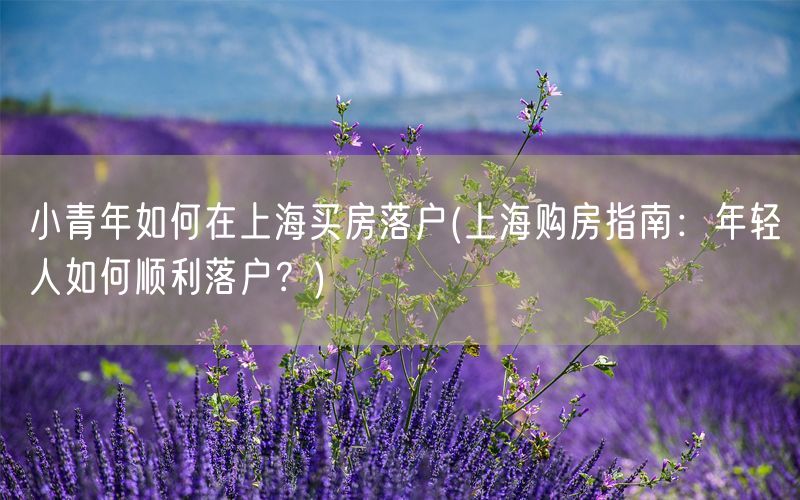 小青年如何在上海买房落户(上海购房指南：年轻人如何顺利落户？)