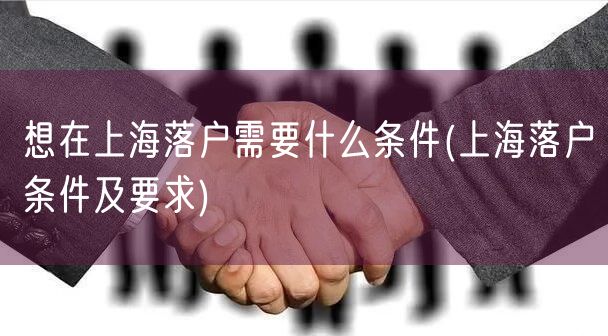 想在上海落户需要什么条件(上海落户条件及要求)