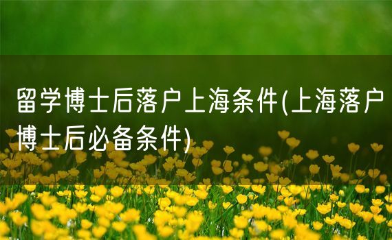 留学博士后落户上海条件(上海落户博士后必备条件)