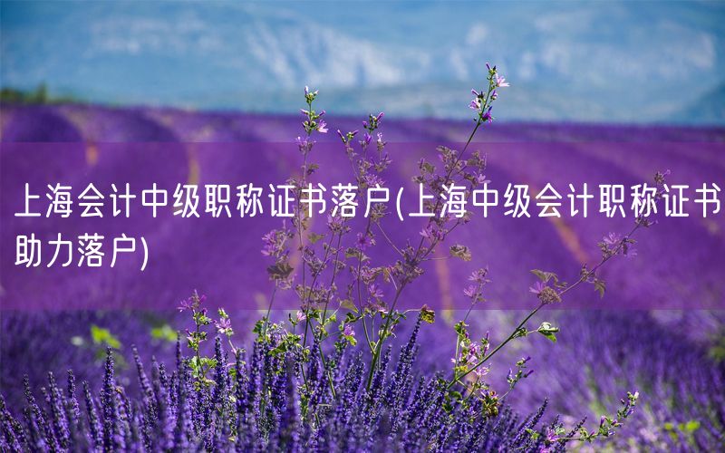 上海会计中级职称证书落户(上海中级会计职称证书助力落户)