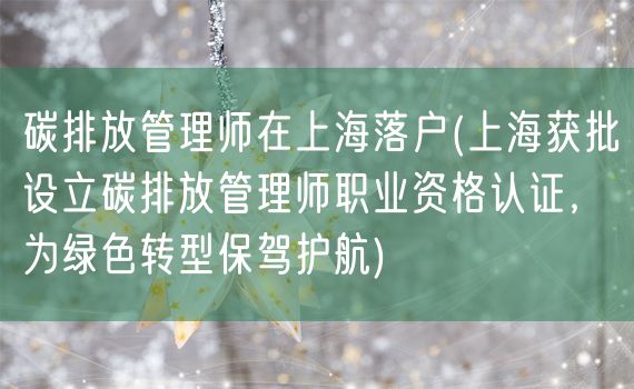碳排放管理师在上海落户(上海获批设立碳排放管理师职业资格认证，为绿色转型保驾护航)