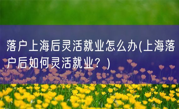 落户上海后灵活就业怎么办(上海落户后如何灵活就业？)
