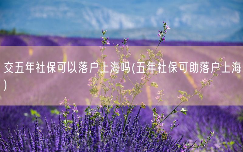 交五年社保可以落户上海吗(五年社保可助落户上海)
