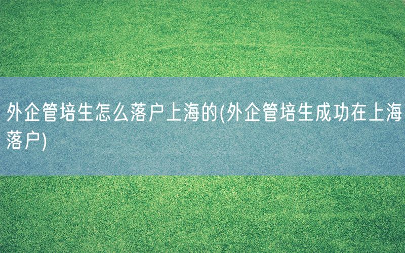 外企管培生怎么落户上海的(外企管培生成功在上海落户)
