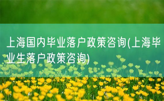 上海国内毕业落户政策咨询(上海毕业生落户政策咨询)