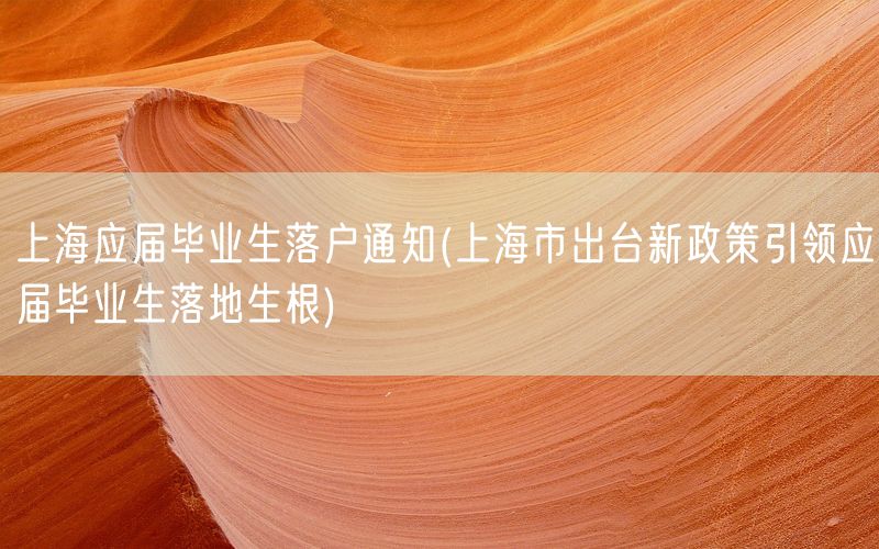 上海应届毕业生落户通知(上海市出台新政策引领应届毕业生落地生根)