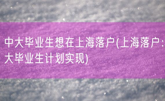 中大毕业生想在上海落户(上海落户：大毕业生计划实现)