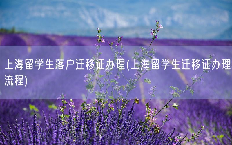 上海留学生落户迁移证办理(上海留学生迁移证办理流程)