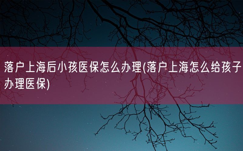 落户上海后小孩医保怎么办理(落户上海怎么给孩子办理医保)