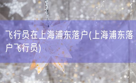 飞行员在上海浦东落户(上海浦东落户飞行员)