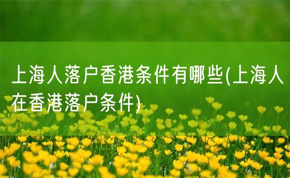 上海人落户香港条件有哪些(上海人在香港落户条件)