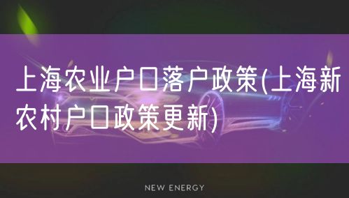 上海农业户口落户政策(上海新农村户口政策更新)