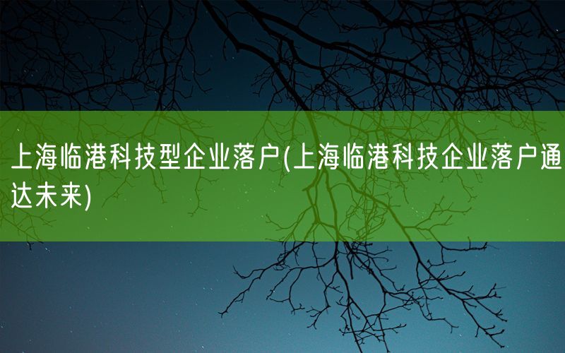上海临港科技型企业落户(上海临港科技企业落户通达未来)